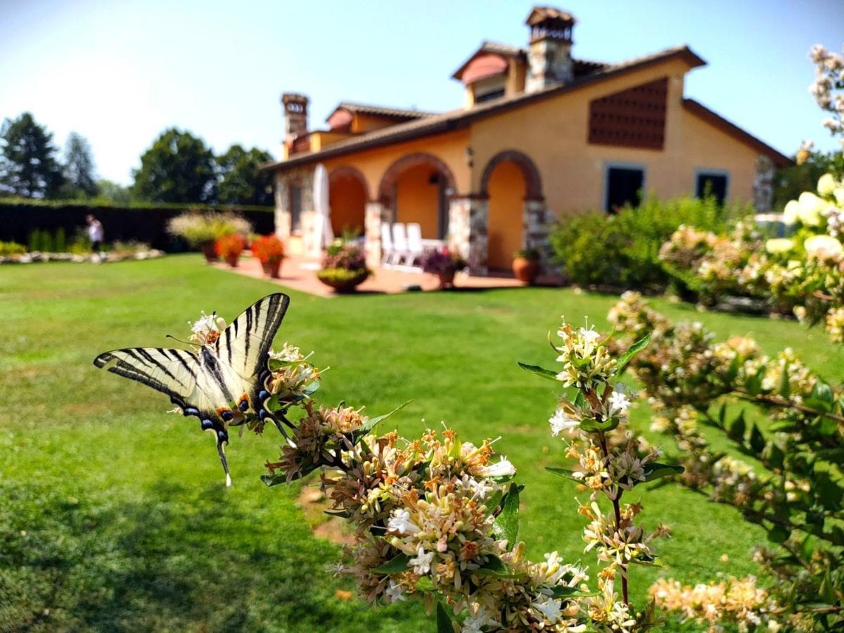 קאפאנורי Tuscan Villa Exclusive Use Of Private Pool A/C Wifi Villa Briciola מראה חיצוני תמונה