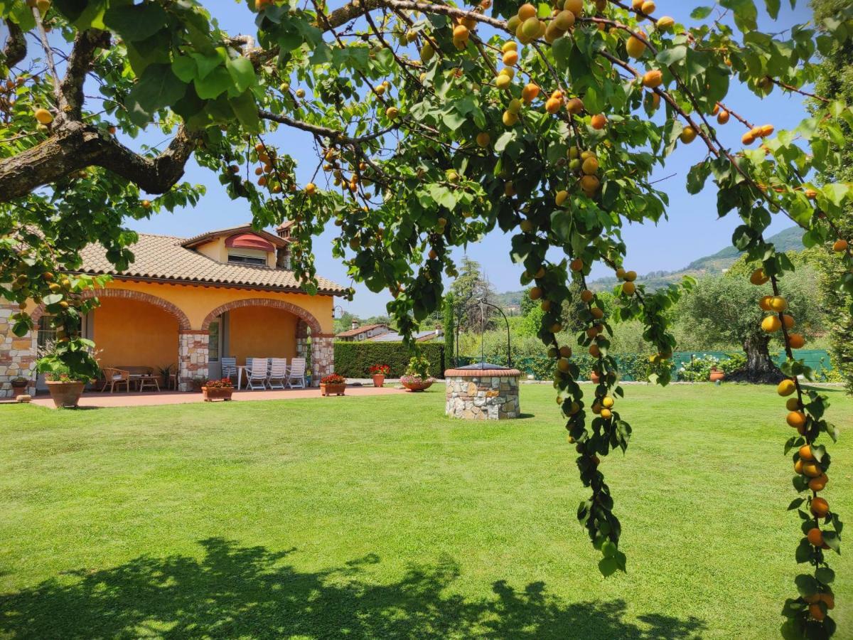 קאפאנורי Tuscan Villa Exclusive Use Of Private Pool A/C Wifi Villa Briciola מראה חיצוני תמונה