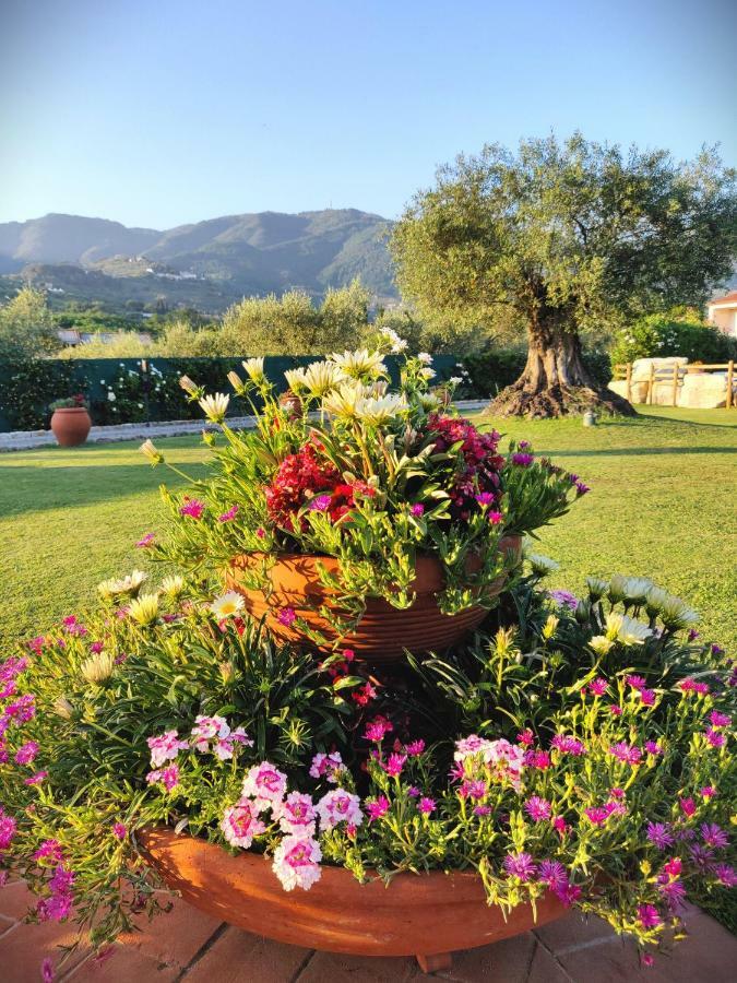 קאפאנורי Tuscan Villa Exclusive Use Of Private Pool A/C Wifi Villa Briciola מראה חיצוני תמונה